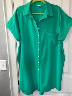 entro Green Button-Front Shirt Dress